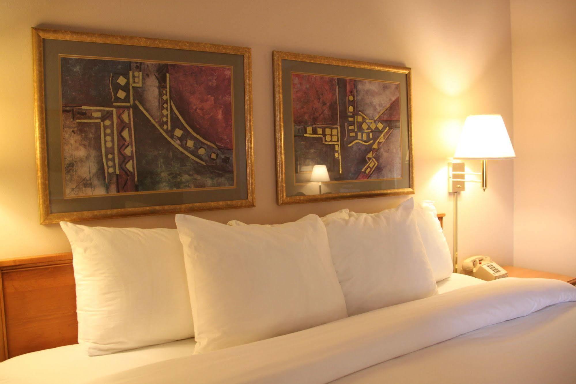 Holiday Inn Express - Canton By Ihg Exteriör bild
